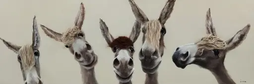 [ZL6005] BAD HAIR DAY - 5 DONKEY CANVAS