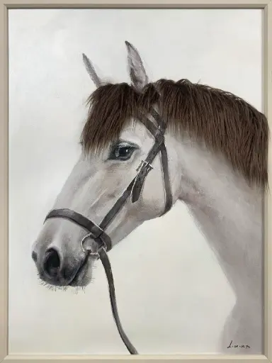 [ZL6011] BAD HAIR DAY - WHITE HORSE CANVAS