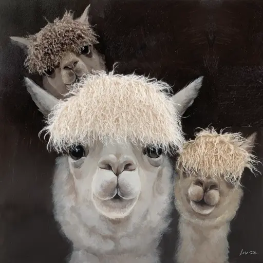[ZL6012] BAD HAIR DAY - 3 ALPACA CANVAS