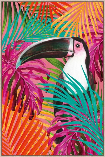 [HK9035] TOUCAN
