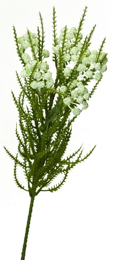 [PG1004] ACHILLEA SPRAY (MILFOIL) / GREEN/CREAM