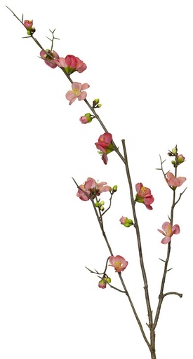 [PG1014] CHERRY BLOSSOM / PINK