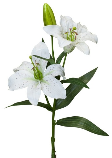 [PG1015] TIGER LILY SPRAY  / WHITE