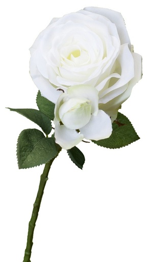 [PG1020] ROSE SPRAY W/BUD / WHITE