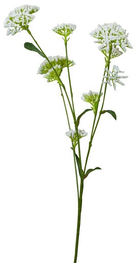 [PG1022] EUCALYPTUSE SEEDS SPRAY / WHITE